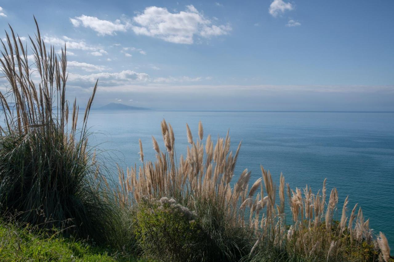 Studio Design - Proche Plage Biarritz Exteriér fotografie